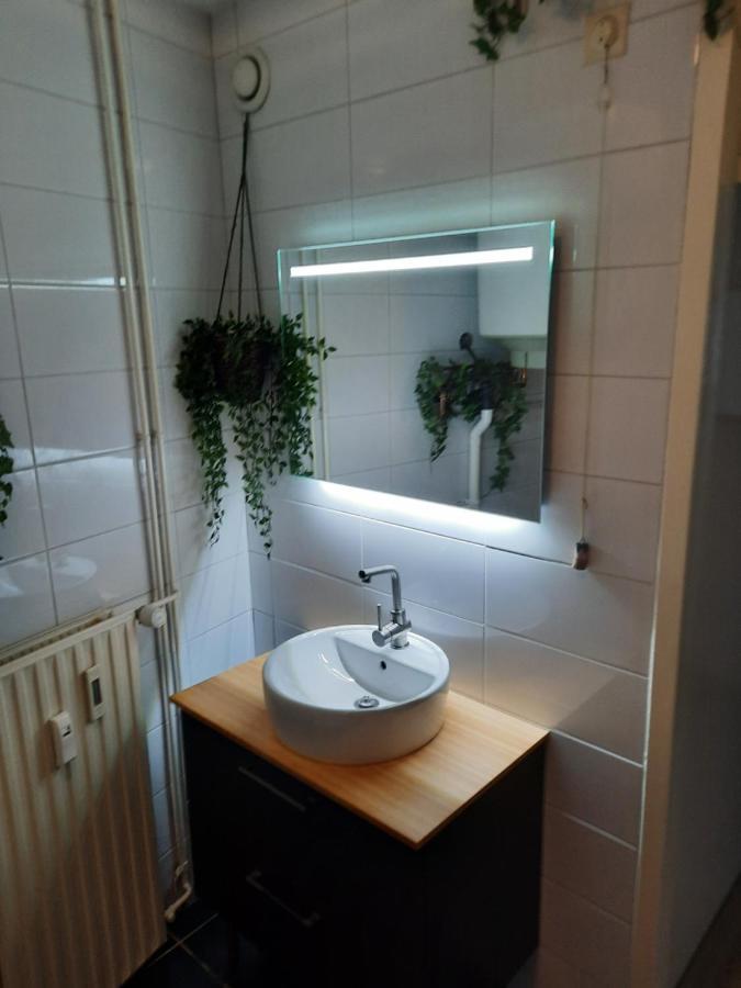 Apartment Duinvos 150M From The Beach 노르트베이크 외부 사진