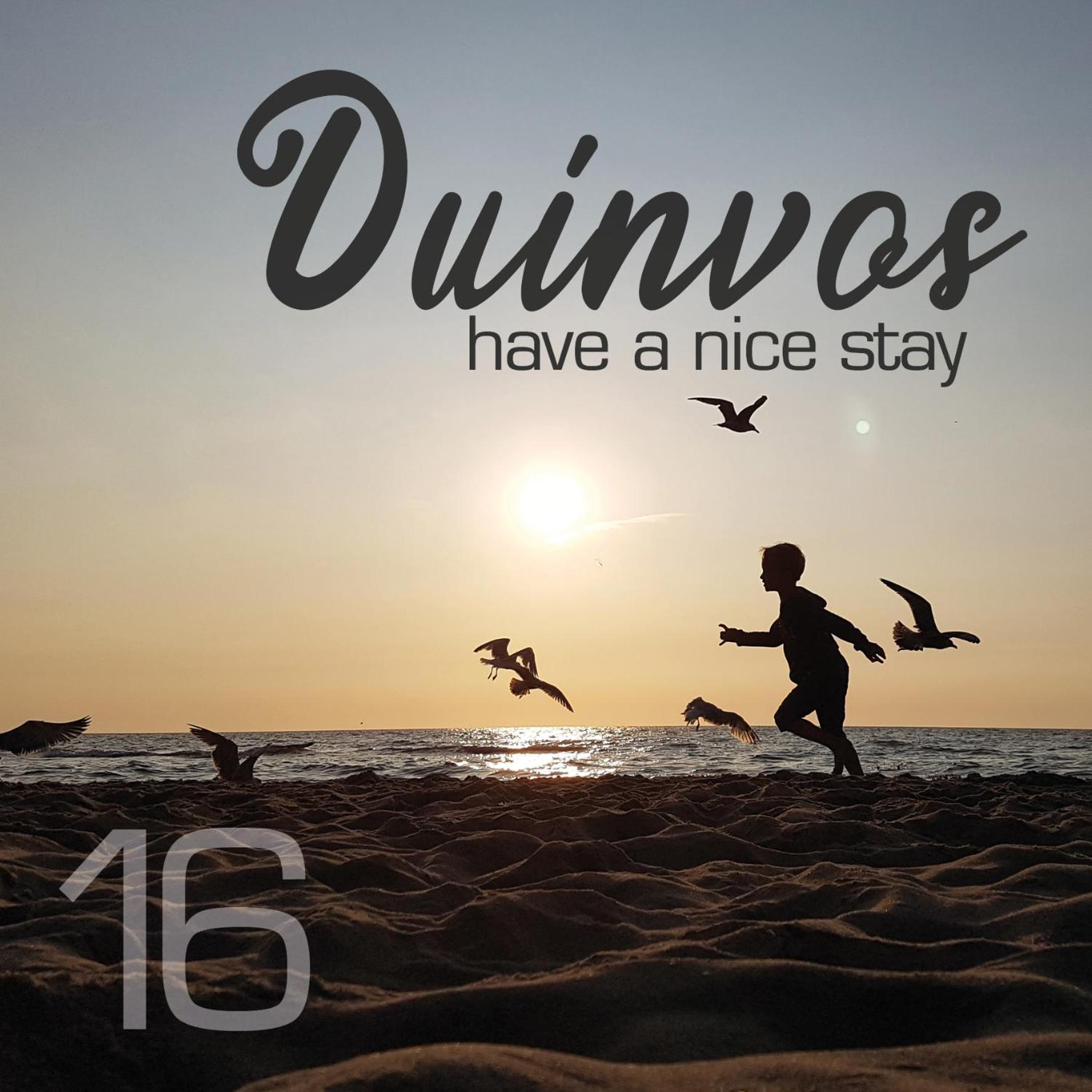 Apartment Duinvos 150M From The Beach 노르트베이크 외부 사진